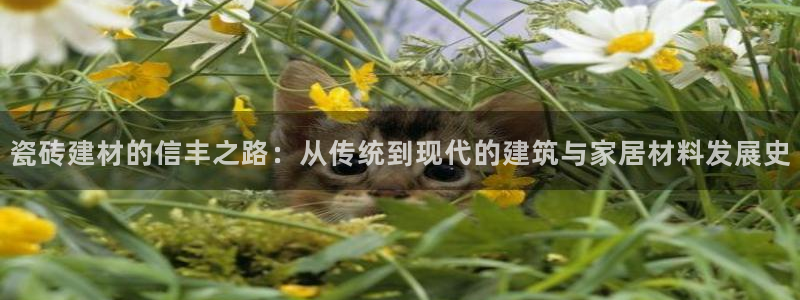 杏鑫平台注册地址