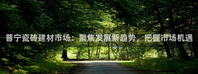 杏鑫官方app代理