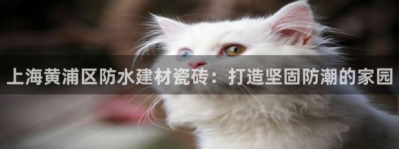 杏鑫平台登录地址