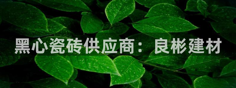 杏鑫娱乐平台登录注册网站