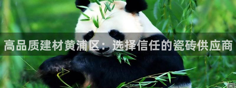 杏鑫平台招商电话号码