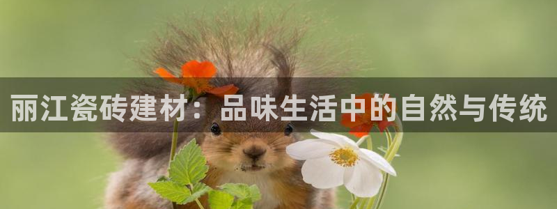 杏鑫注册登录平台是什么