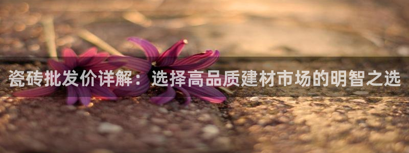 杏鑫代理注册登录