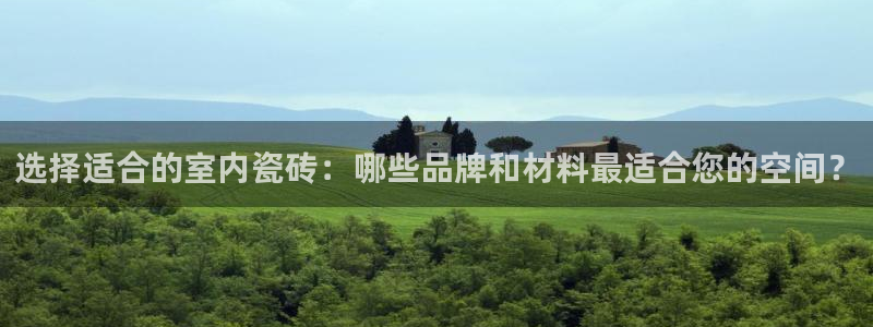 杏鑫官方平台怎么样啊