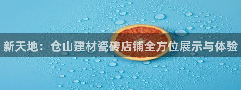 杏鑫平台代理注册流程图