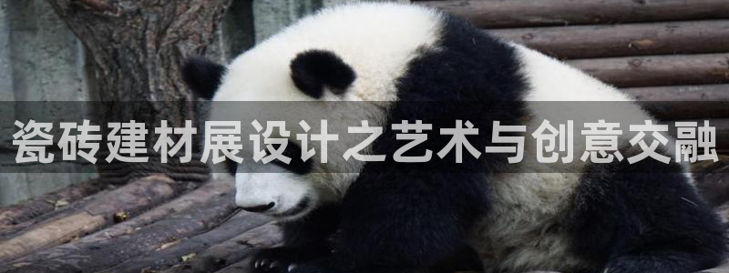 杏鑫官网最新信息新闻报道