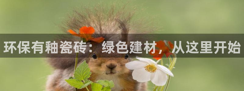 杏鑫平台代理注册多少钱一个