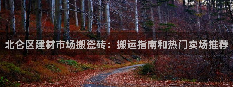 杏鑫平台代理怎么样啊