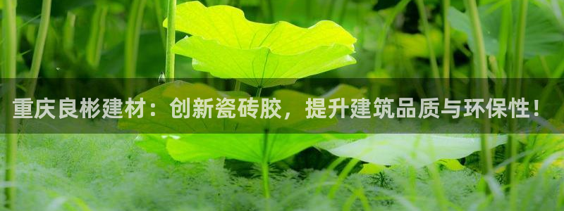 杏鑫平台野马联盟