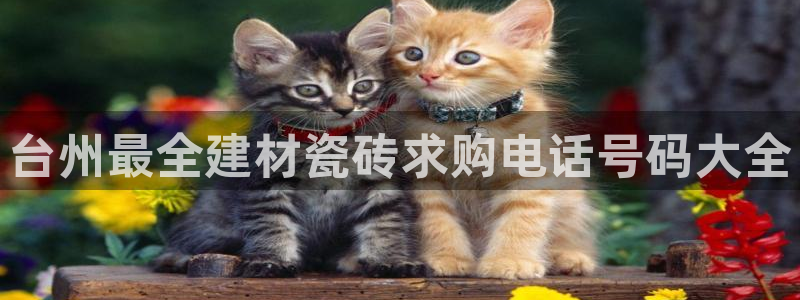 杏鑫娱乐是真的吗