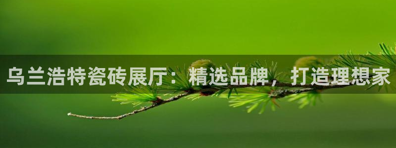 杏鑫注册登录代理公司