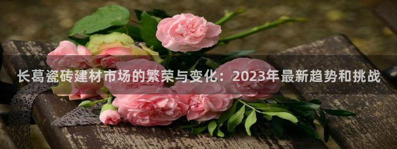 杏鑫平台平台娱乐