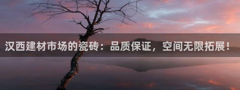 杏鑫平台注册登录