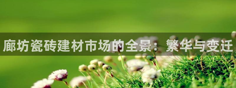 杏鑫平台正规吗