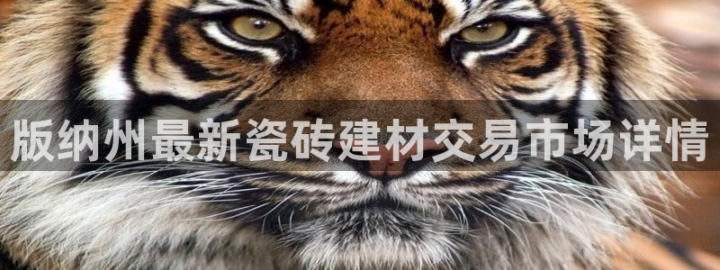 杏鑫手机客户端