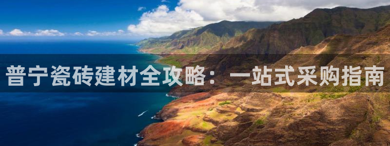 杏鑫有亏损返点吗