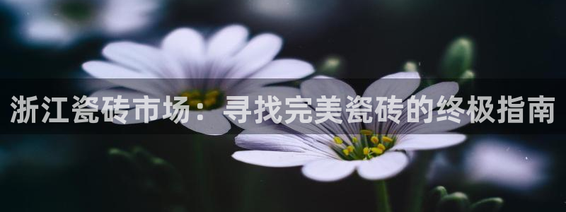 杏鑫平台代理注册流程